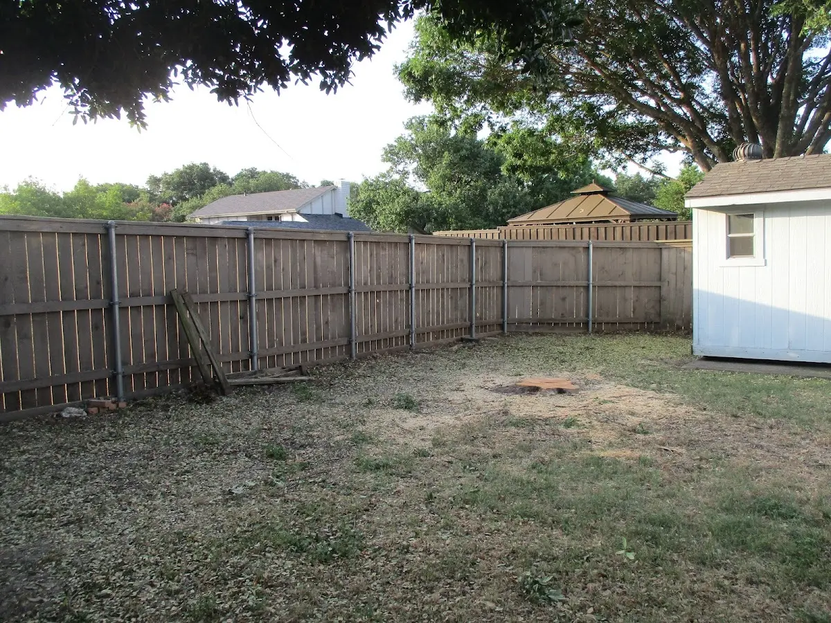 Cleared yard after professional tree removal in Fluvanna