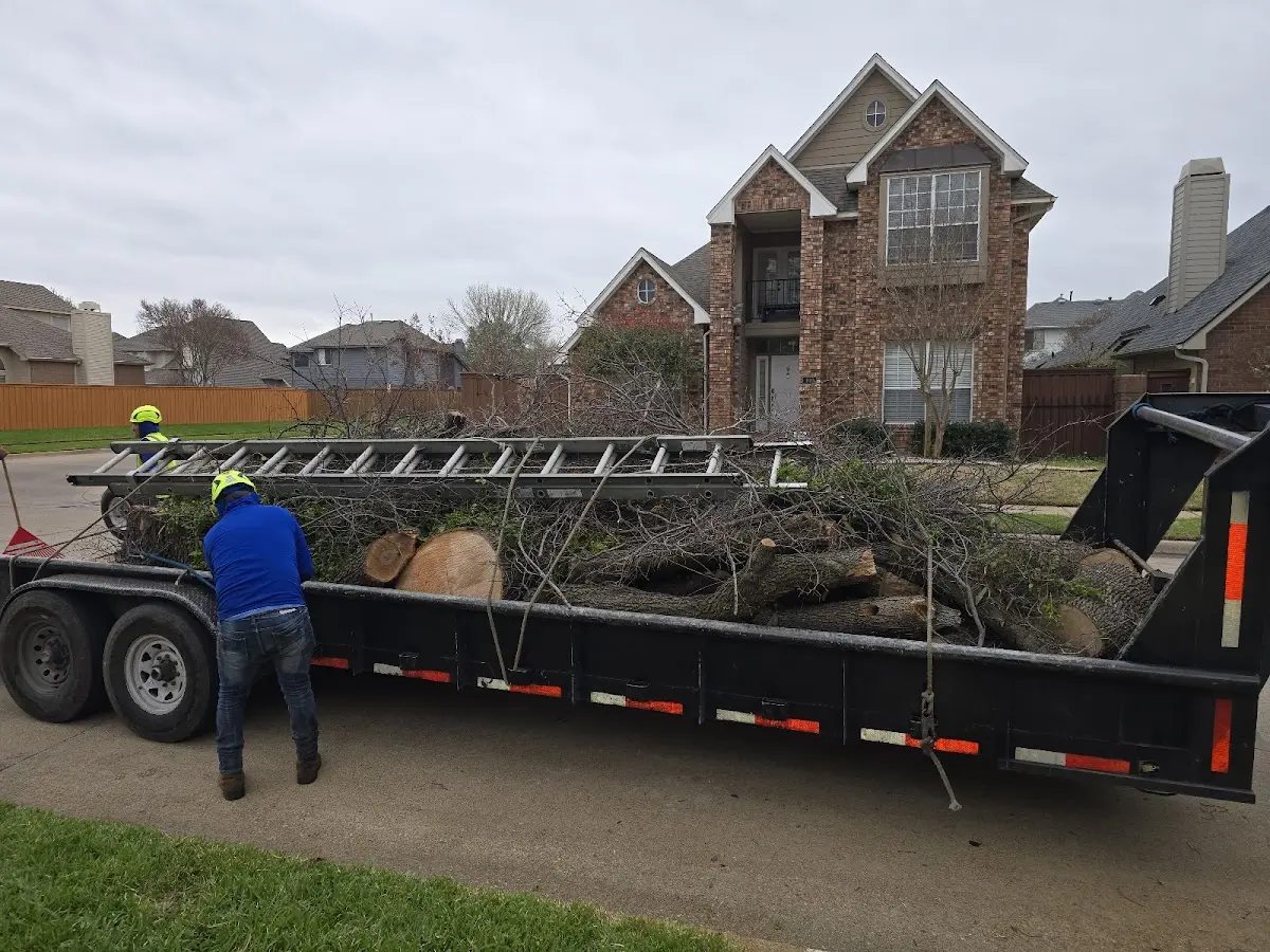 Expert Lot Clearing with proper safety equipment in Fluvanna
